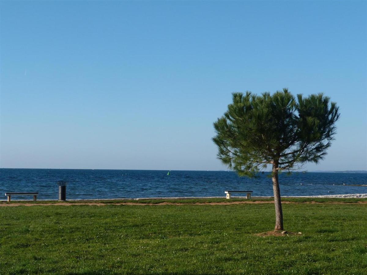 Lovely Fazana Apartments 400M From The Sea Bagian luar foto